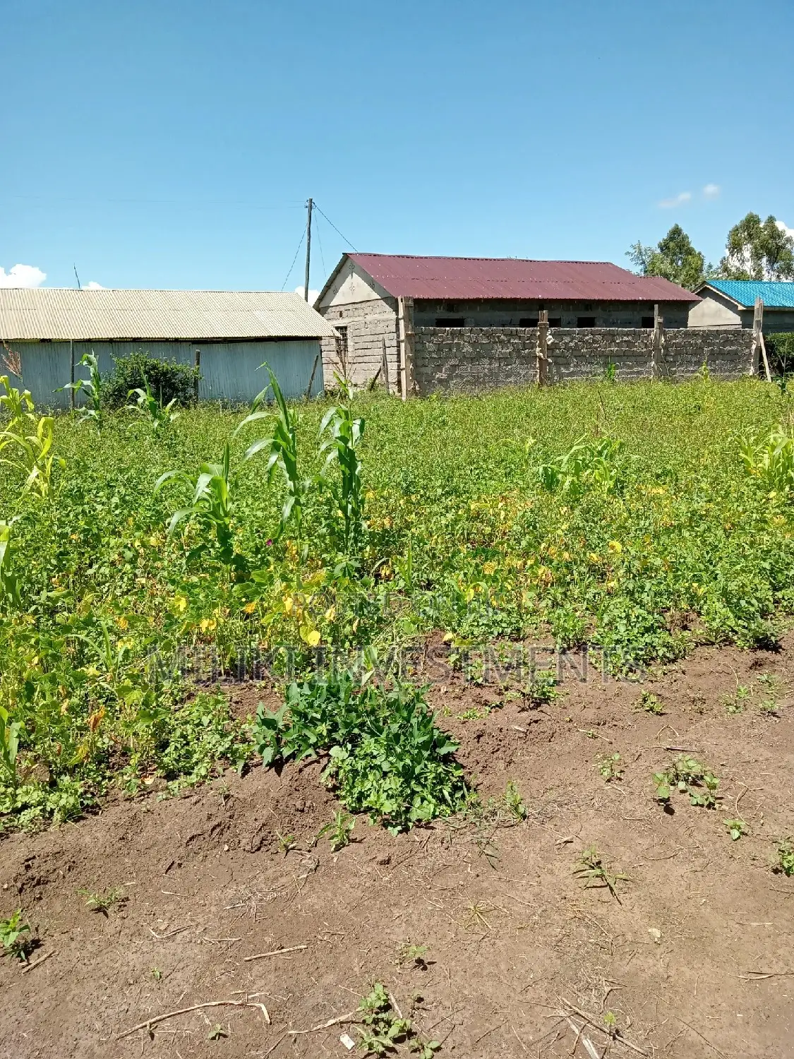 40 by 80 Plot on Sale at Kenol Area.
