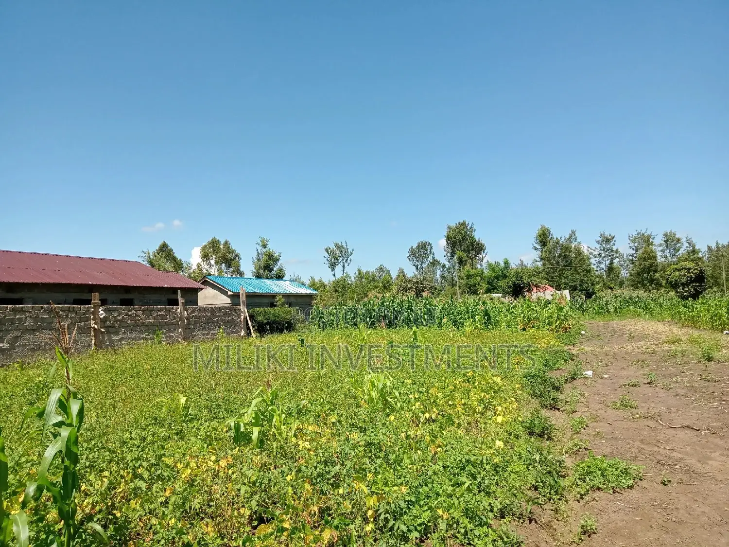 40 by 80 Plot on Sale at Kenol Area.