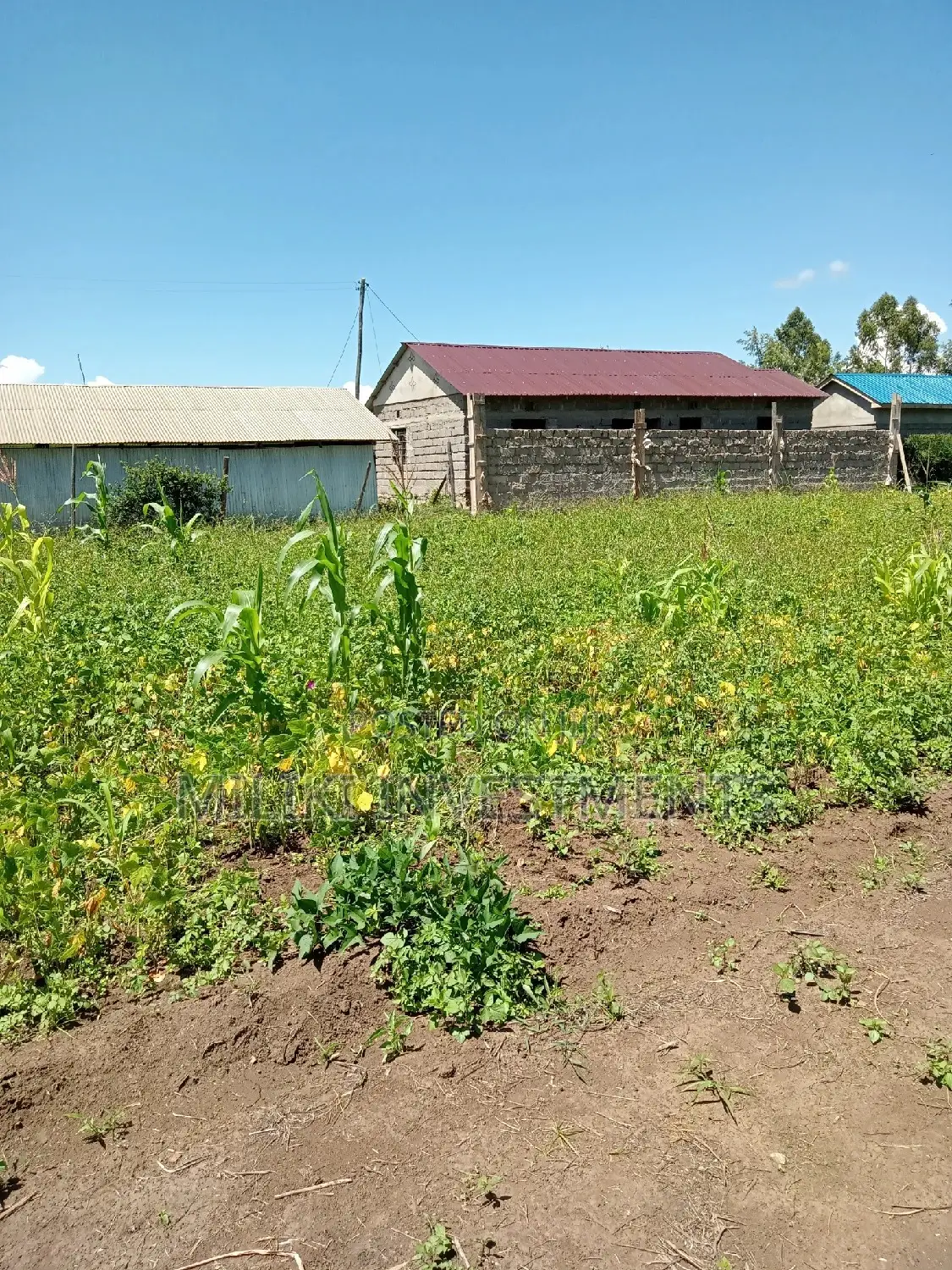 40 by 80 Plot on Sale at Kenol Area.