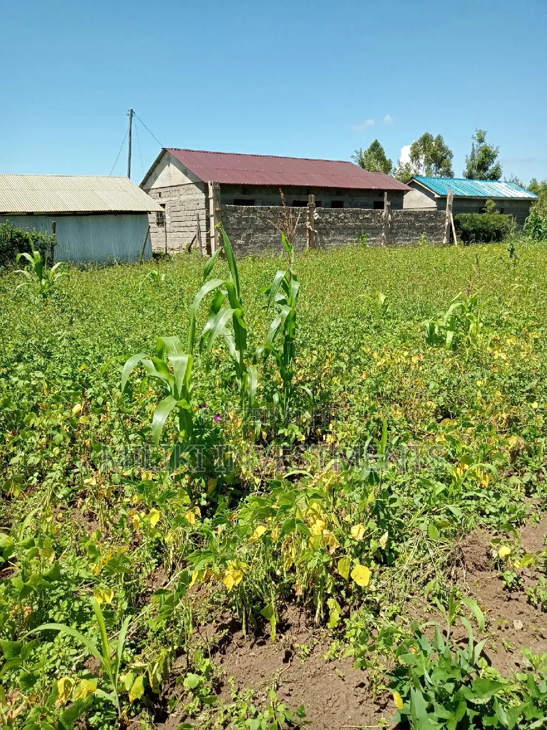 40 by 80 Plot on Sale at Kenol Area.
