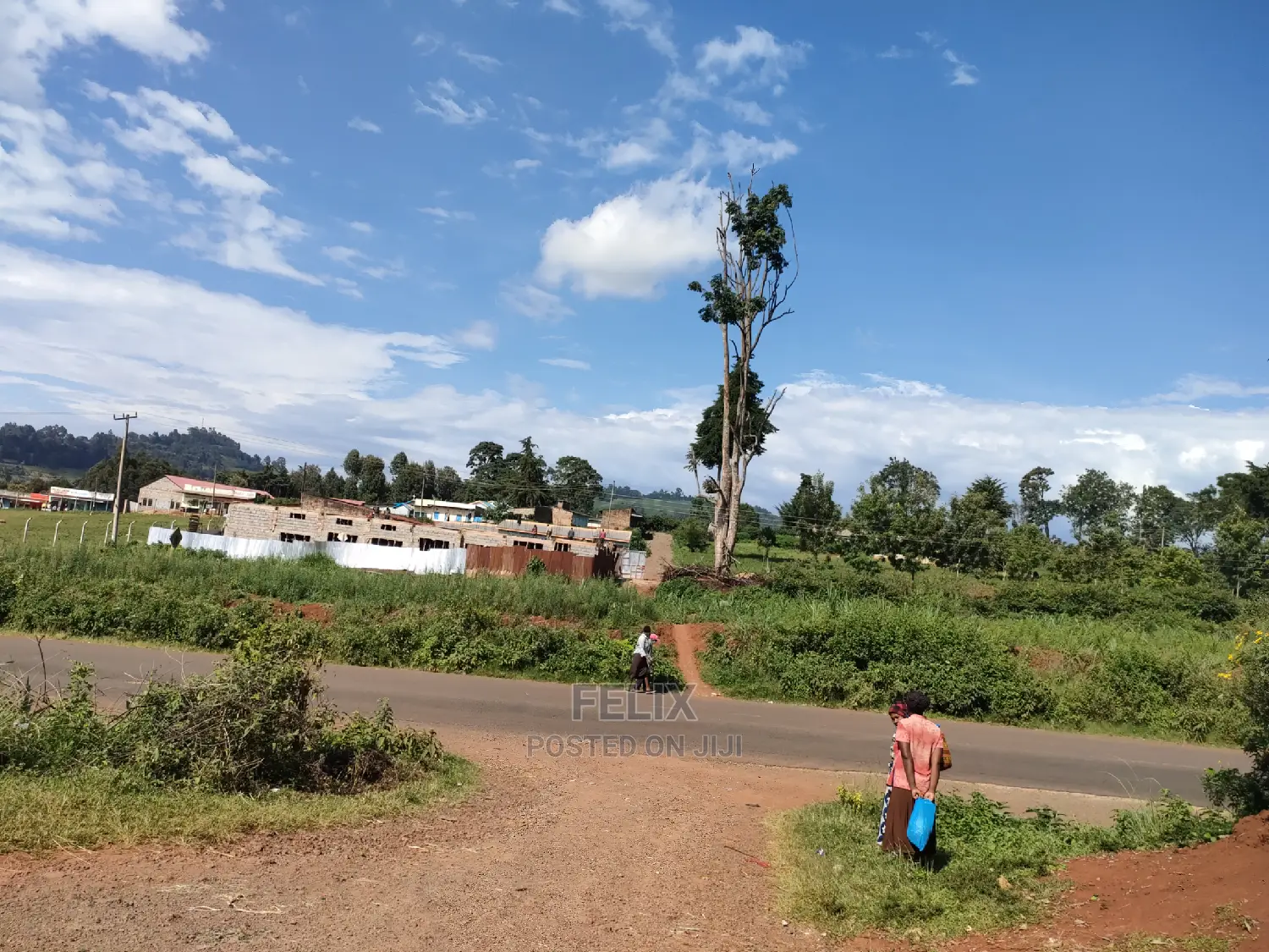 Karatina Ichuga/Kiawarigi Half Acre