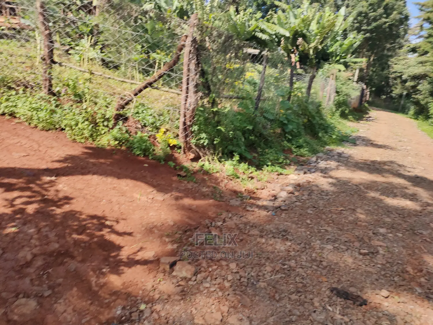 Karatina Ichuga/Kiawarigi Half Acre