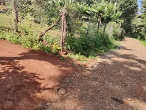 Karatina Ichuga/Kiawarigi Half Acre