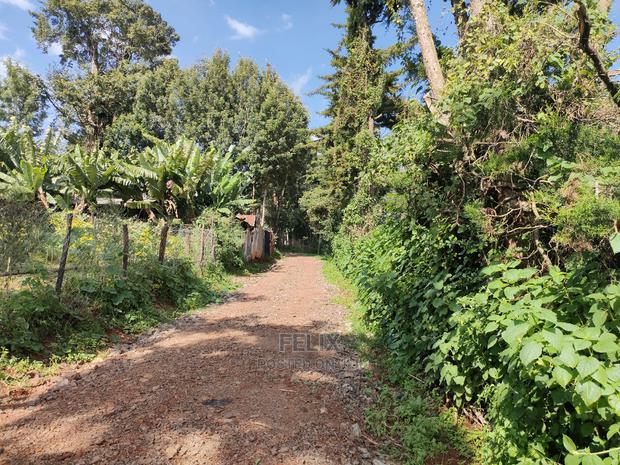 Karatina Ichuga/Kiawarigi Half Acre - thumbnail 6