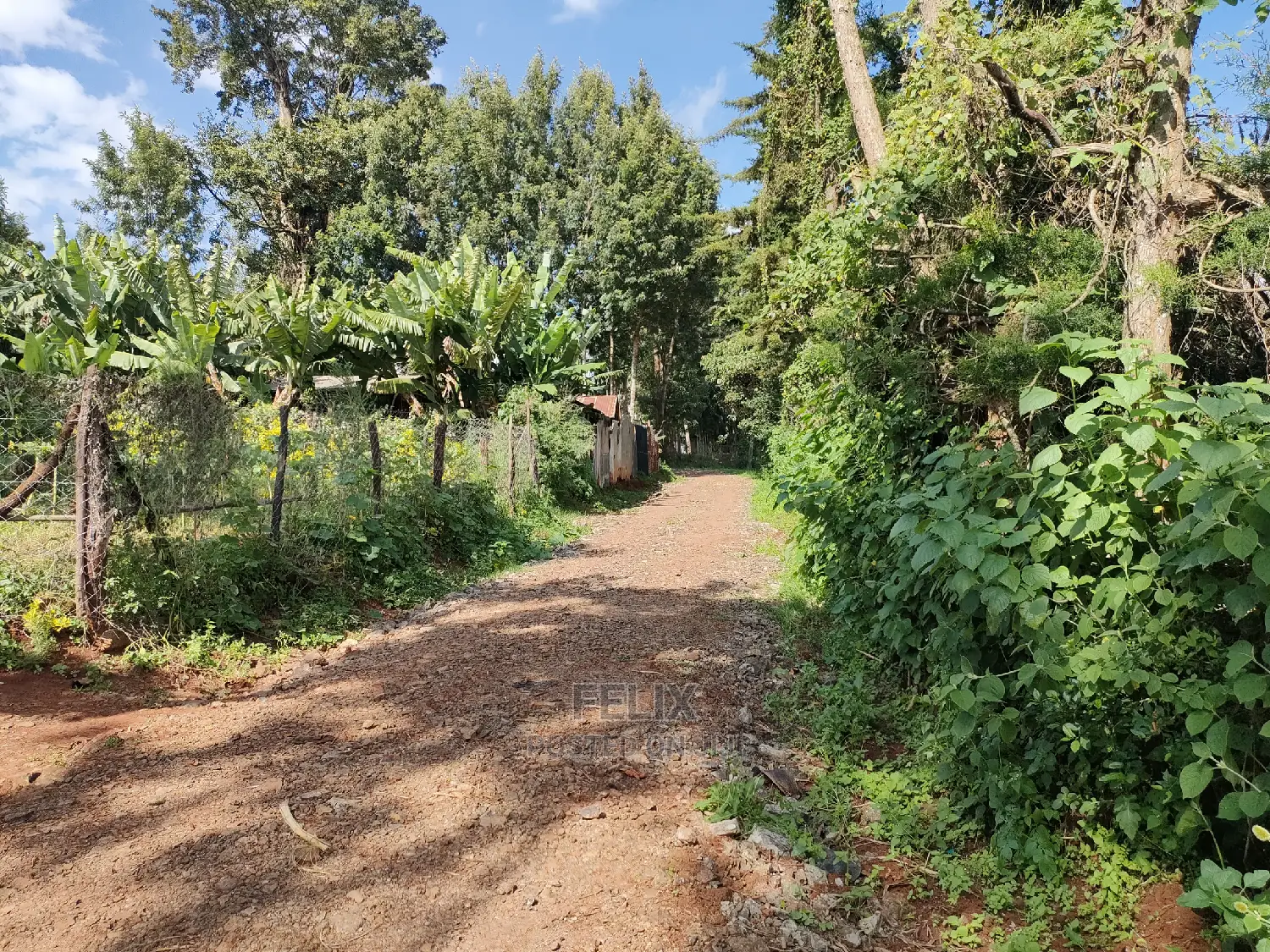 Karatina Ichuga/Kiawarigi Half Acre