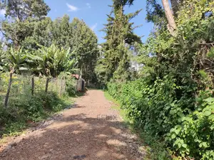 Karatina Ichuga/Kiawarigi Half Acre