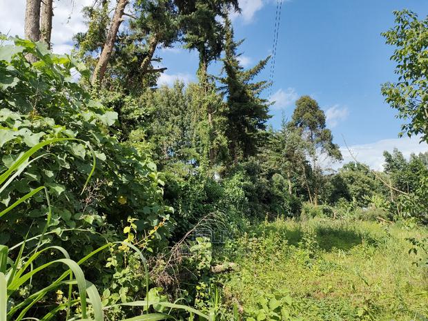 Karatina Ichuga/Kiawarigi Half Acre - thumbnail 8