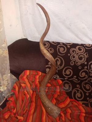 Shofar Horn - thumbnail 2