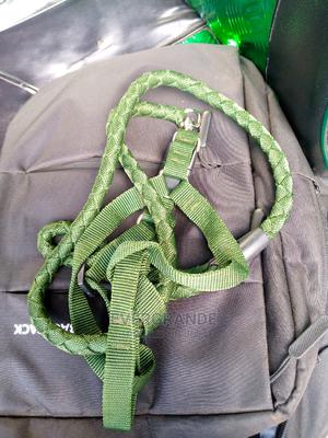 Medium Dog Leash - thumbnail 2