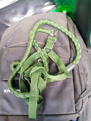 Medium Dog Leash