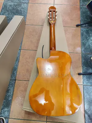 Classic Semi-Acoustic Guitar