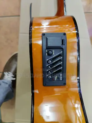 Classic Semi-Acoustic Guitar