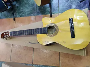 Classic Semi-Acoustic Guitar