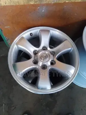 17 Inch Prado (120)