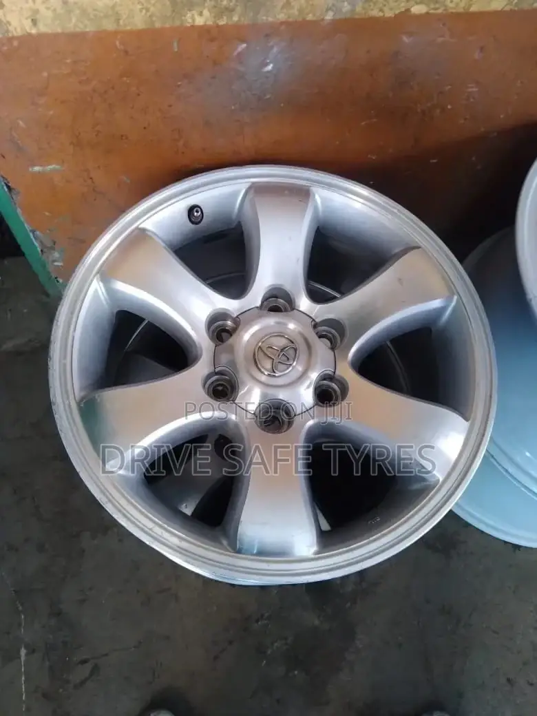 17 Inch Prado (120)
