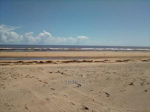 1/4-Acre Beach Plots for Sale in Mambrui Beach - thumbnail 2