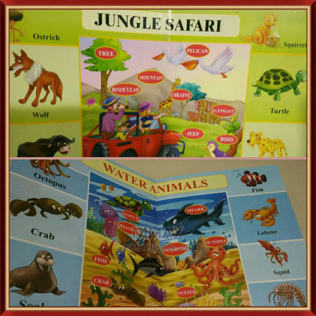 Kids Picture Dictionary
