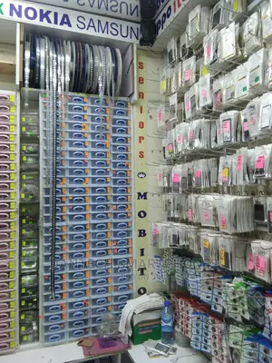 Screens, Batteries, Charging Systems, and Audio Problems