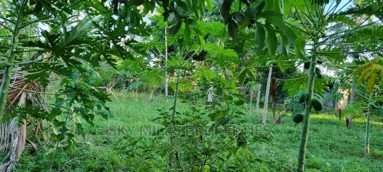 Majengo/Kanamai Plots on Sale