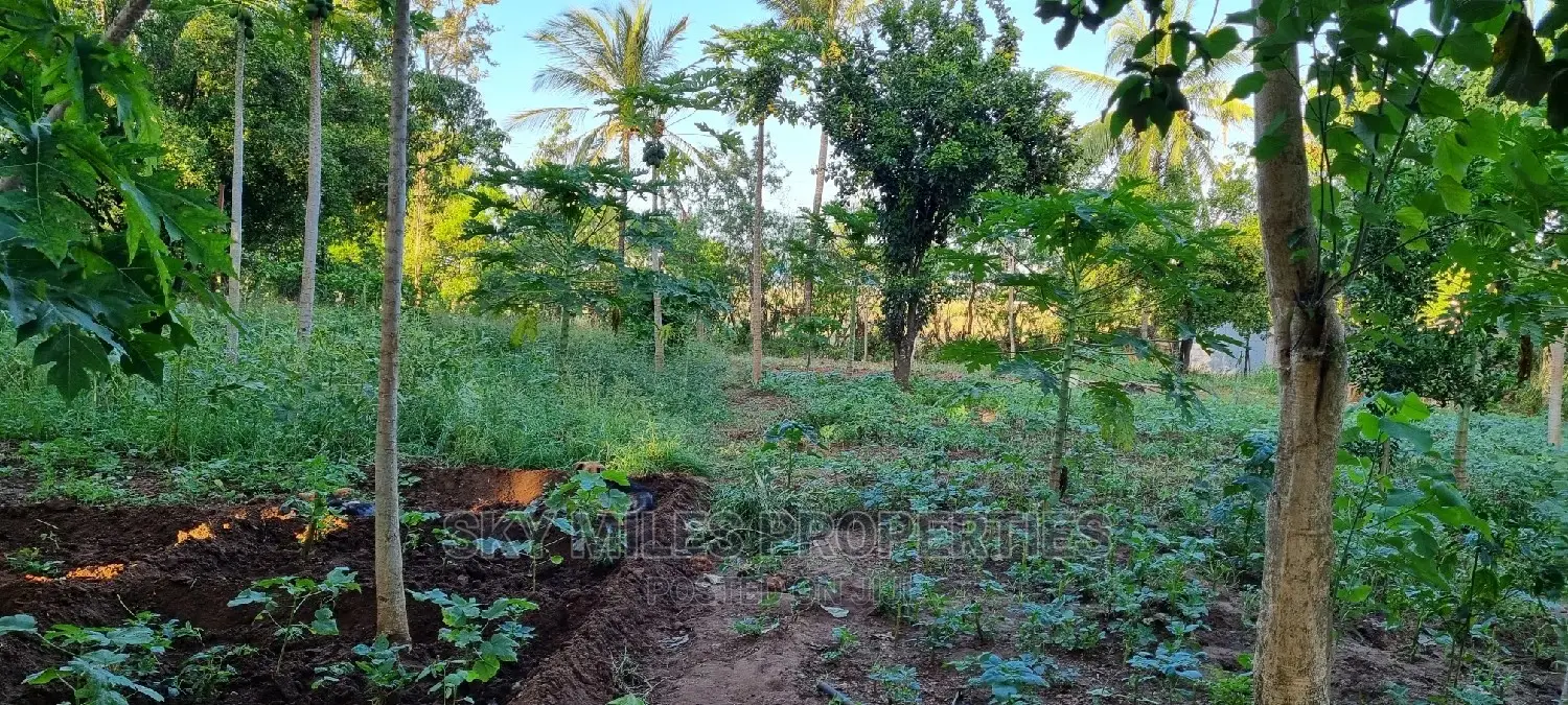 Majengo/Kanamai Plots on Sale