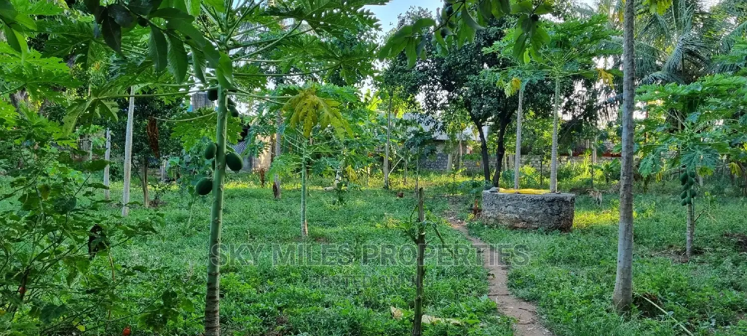 Majengo/Kanamai Plots on Sale