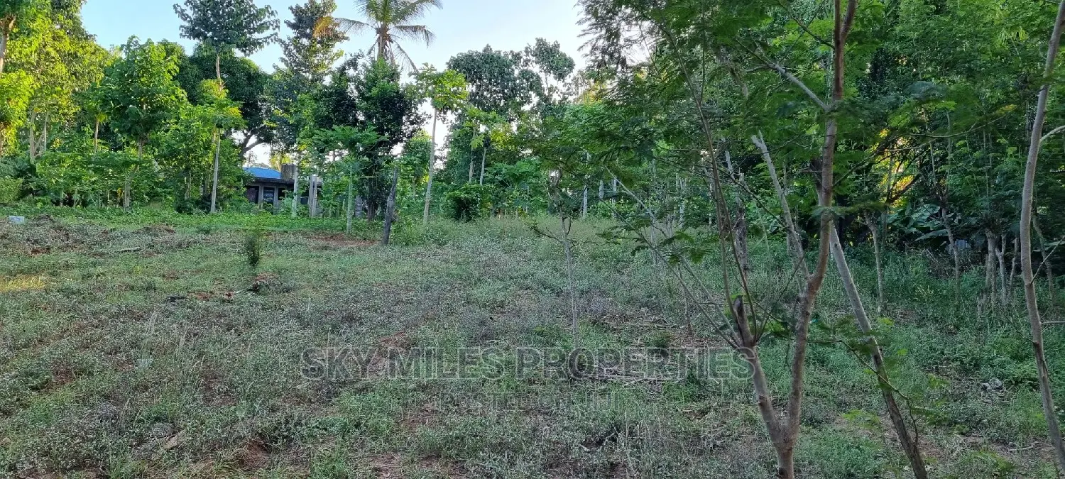 Majengo/Kanamai Plots on Sale