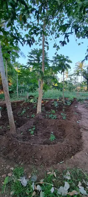 Majengo/Kanamai Plots on Sale