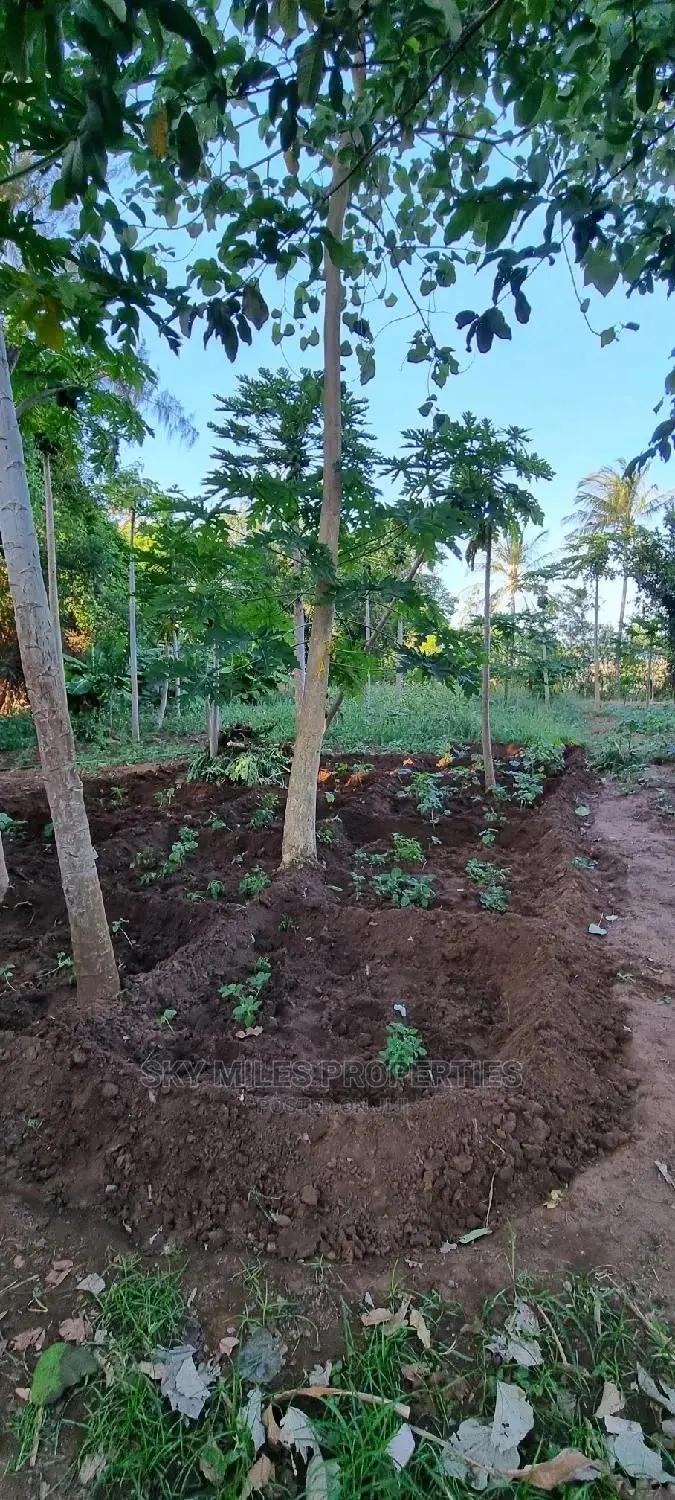 Majengo/Kanamai Plots on Sale