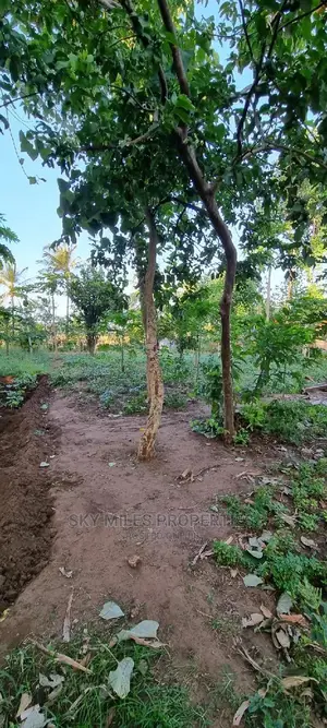Majengo/Kanamai Plots on Sale