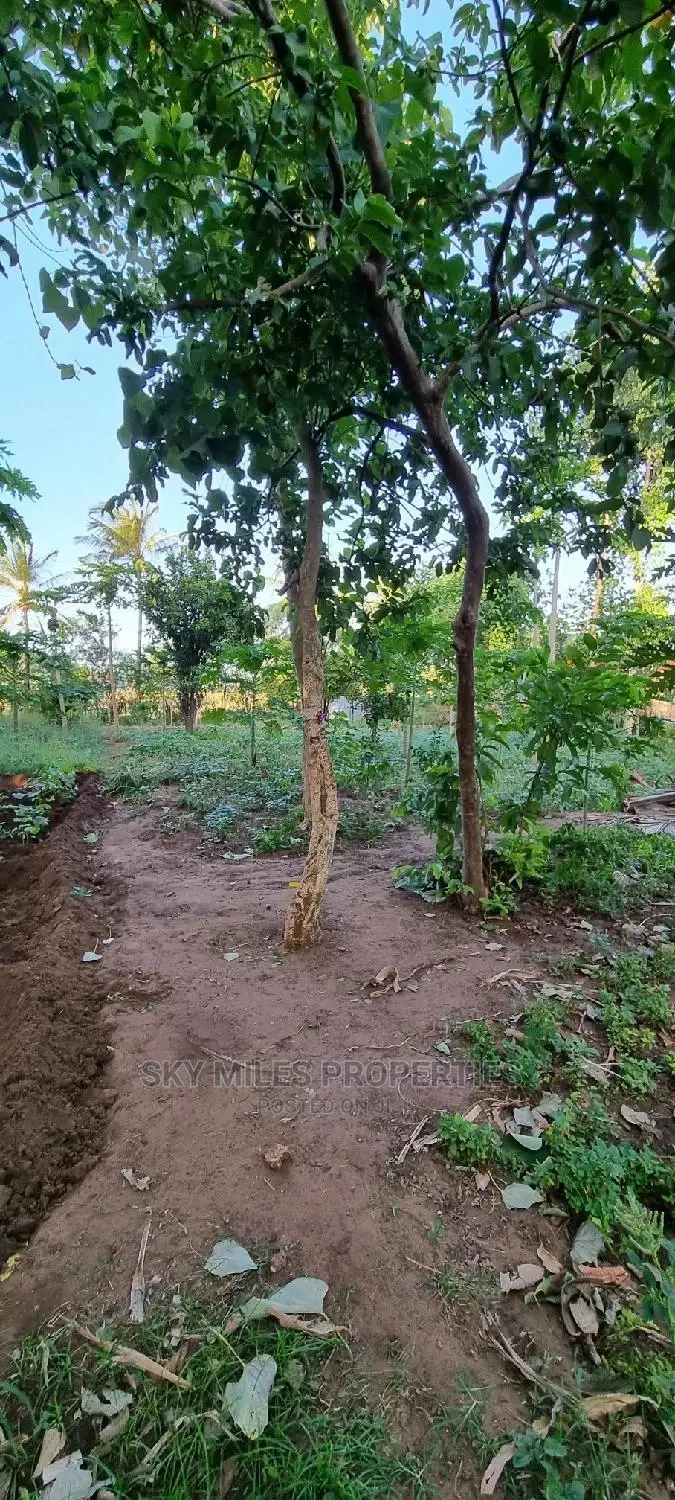 Majengo/Kanamai Plots on Sale