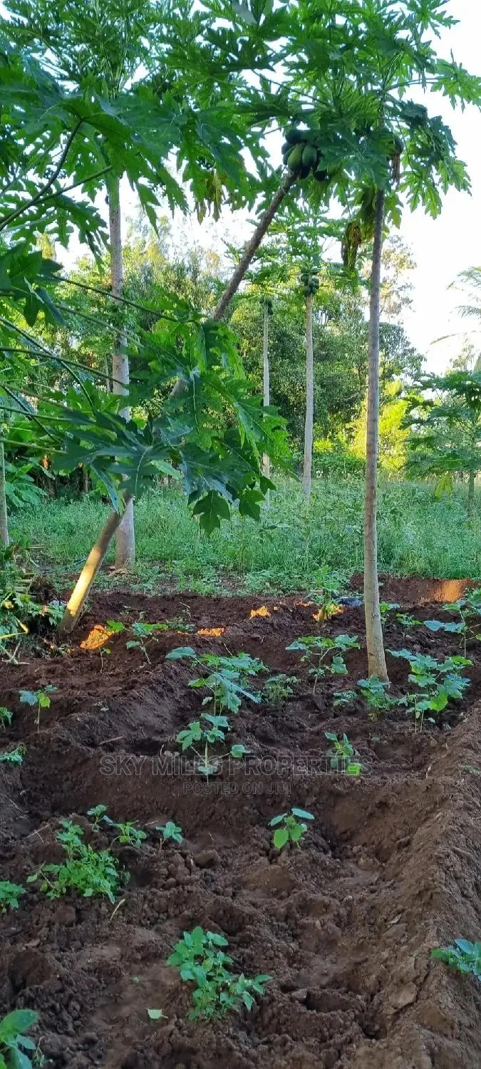 Majengo/Kanamai Plots on Sale