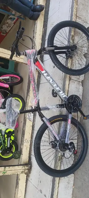 Sports Bike Size 24
