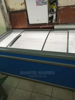 Deep Freezer Display 1000 Litres