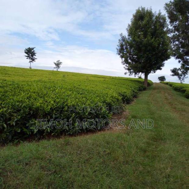 Land For Sale In Tigoni - main view