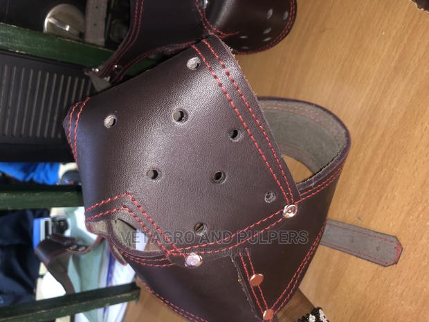 High Quality Dog Muzzles (Small to Large) - thumbnail 8