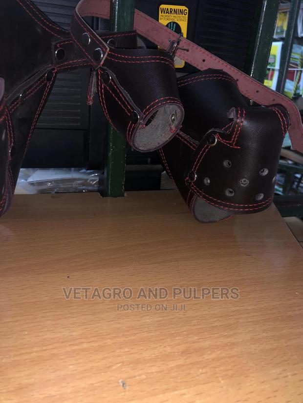 High Quality Dog Muzzles (Small to Large) - thumbnail 3