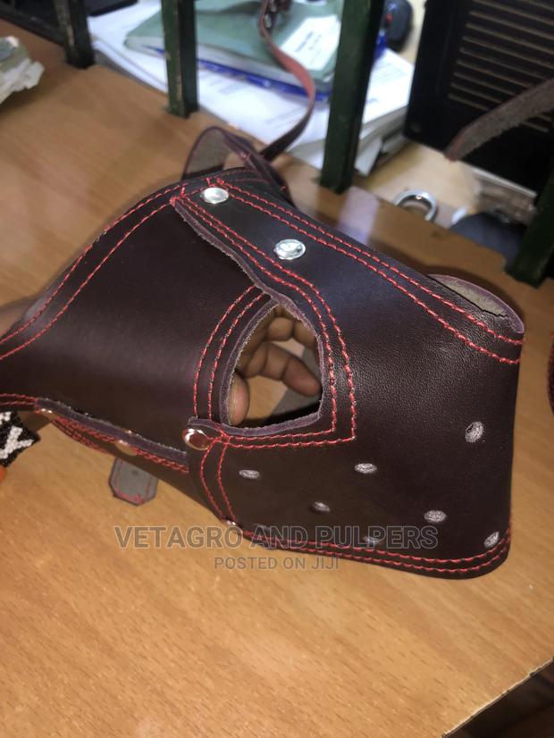 High Quality Dog Muzzles (Small to Large) - main view