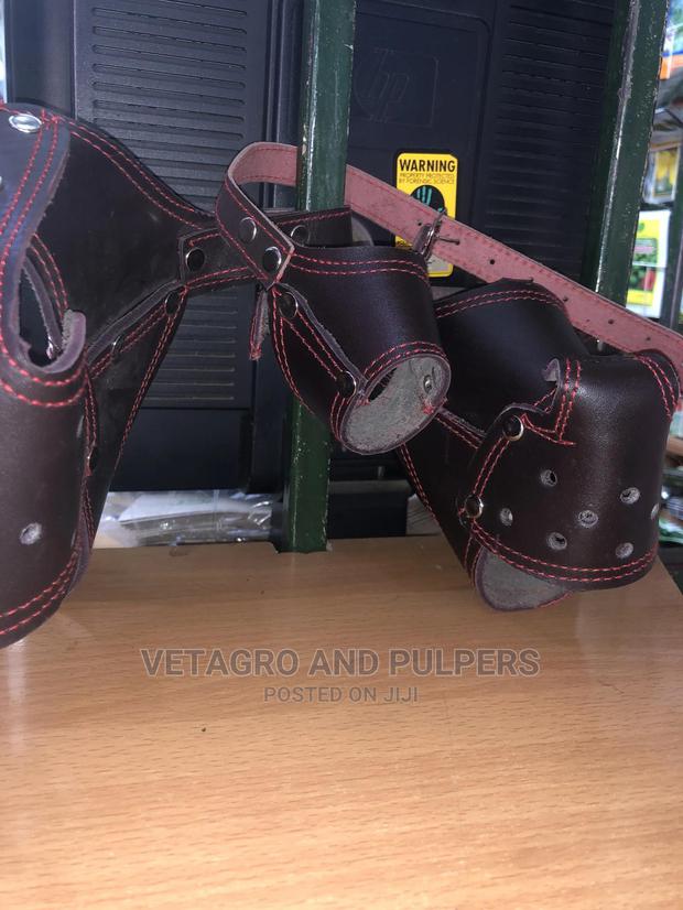 High Quality Dog Muzzles (Small to Large) - thumbnail 4