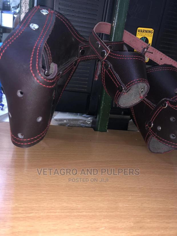 High Quality Dog Muzzles (Small to Large) - thumbnail 5