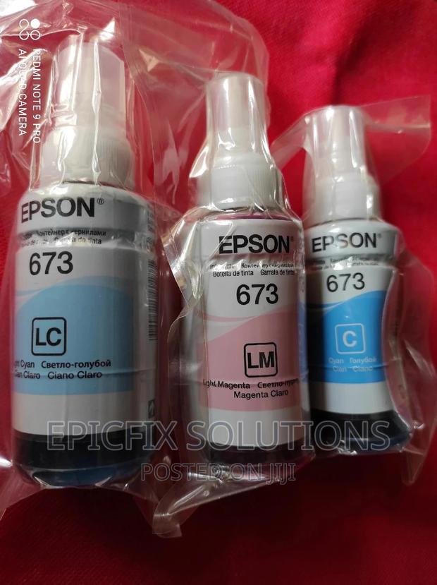 Epson Ink 673