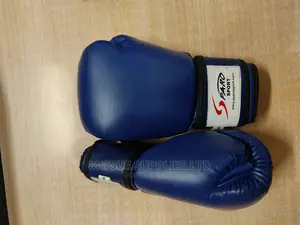 A Pair of Professional Leather Boxing Gloves 16oz Blue