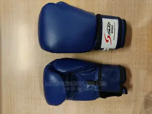 A Pair of Professional Leather Boxing Gloves 16oz Blue