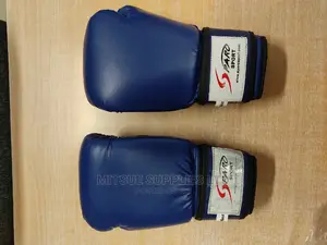 A Pair of Professional Leather Boxing Gloves 16oz Blue