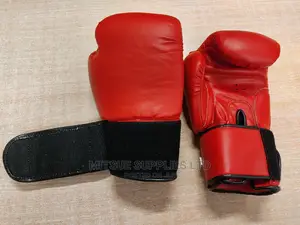 A Pair of Leather Boxing Glove 10oz Red