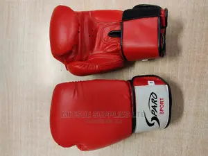 A Pair of Leather Boxing Glove 10oz Red