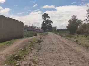 Narumoru Town Prime Plot