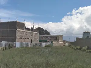 Narumoru Town Prime Plot