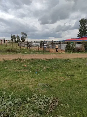 Narumoru Quota Plot Touching Tarmac