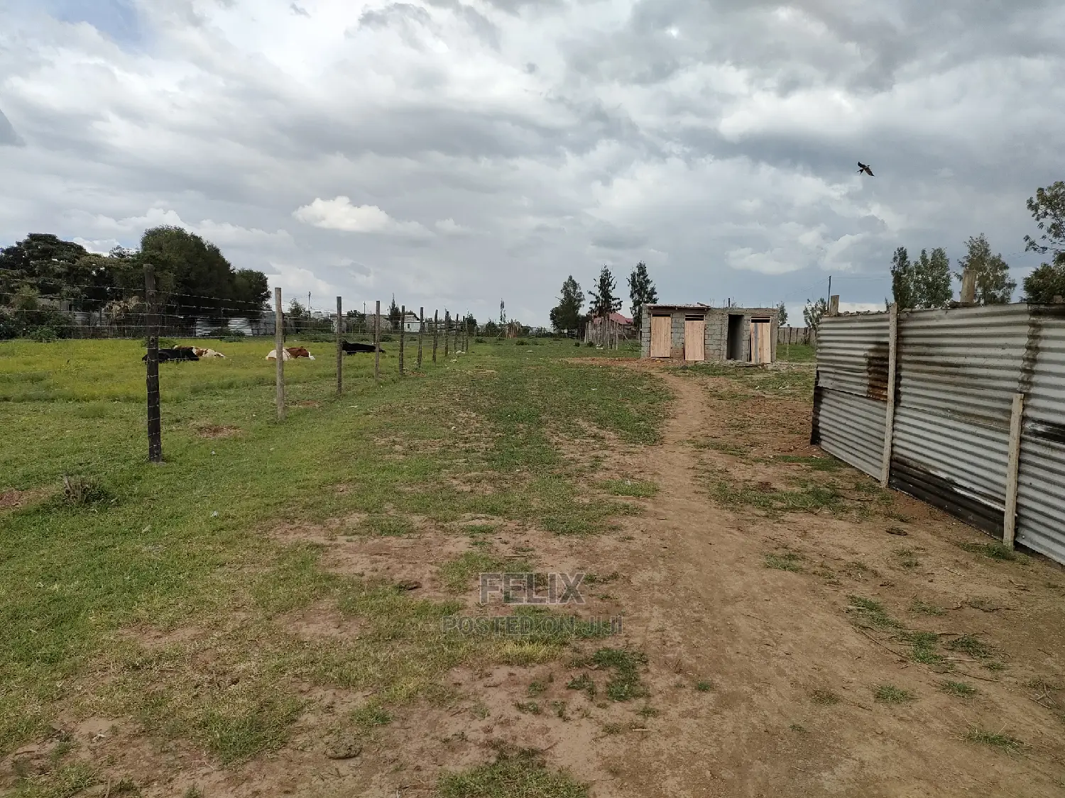 Narumoru Quota Plot Touching Tarmac