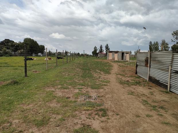 Narumoru Quota Plot Touching Tarmac - thumbnail 7